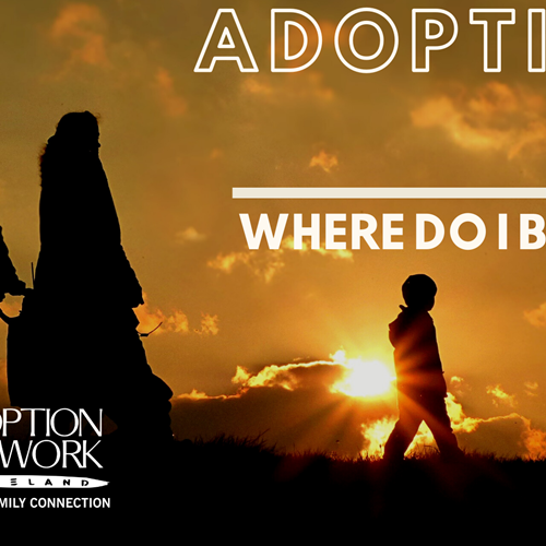 Adoption 101: Where Do I Begin? (Virtual)